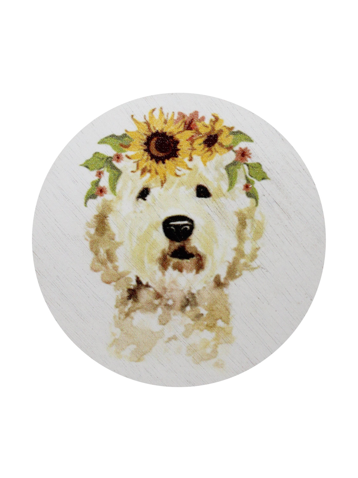 Sand + Paws Mango Tangerine 12 oz scented candle Premium