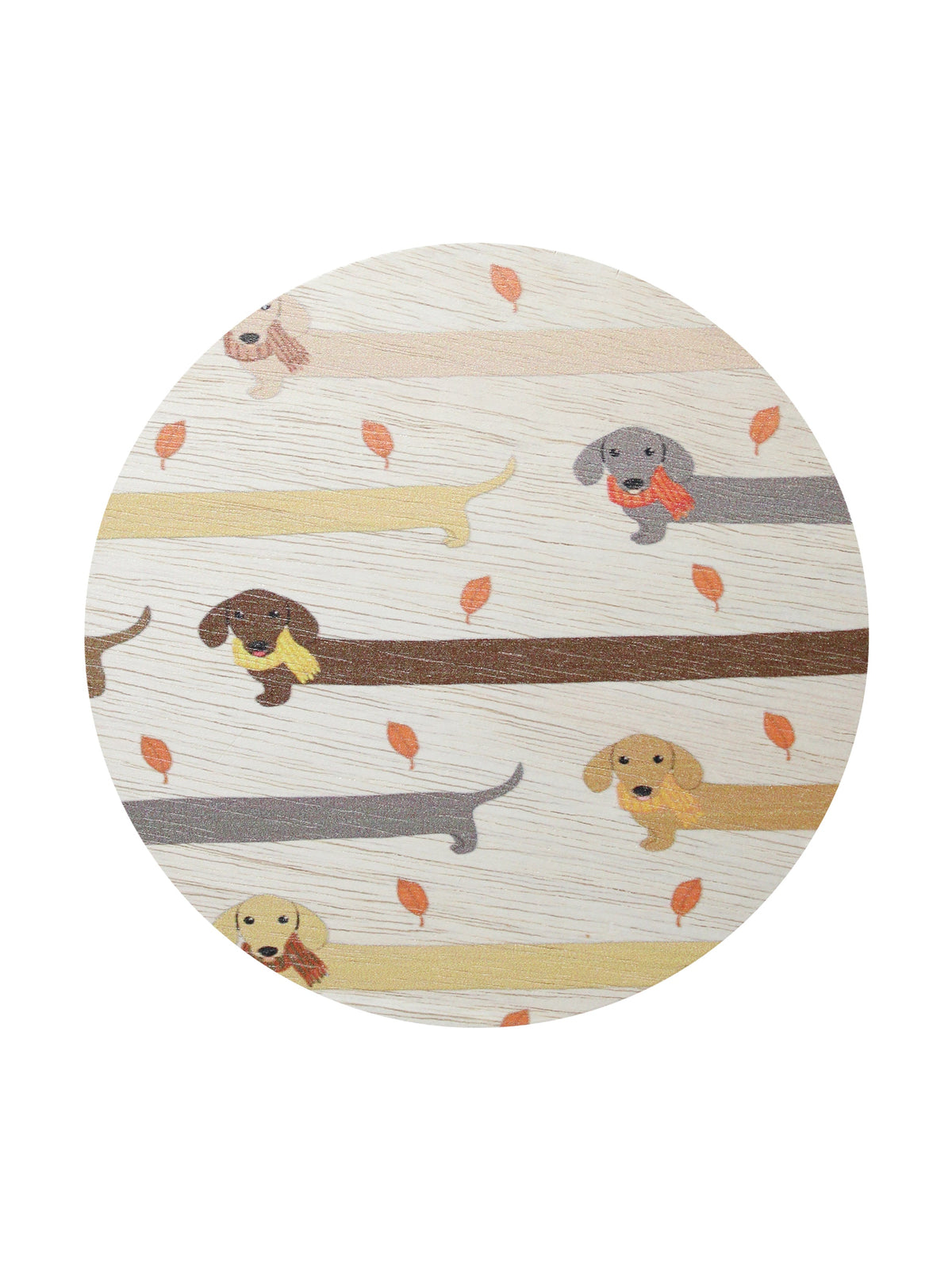 Sand + Paws Apple Cider 12 oz scented candle Premium