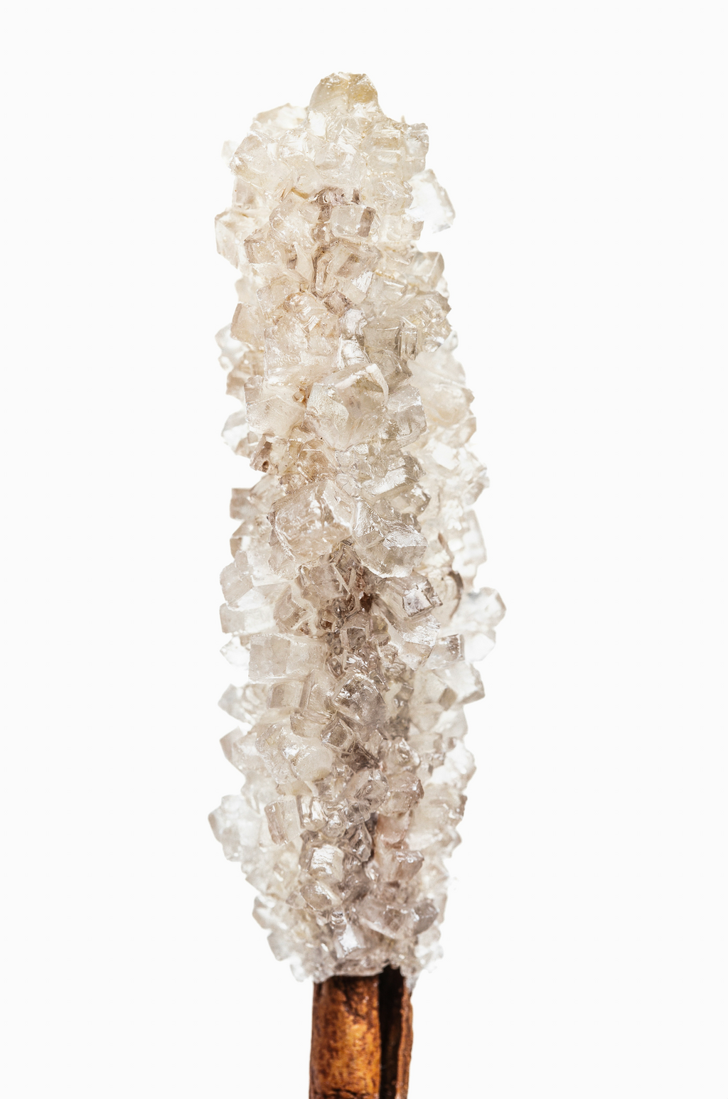 Vanilla Sugar 100 ml Elegant Eau de Toilette