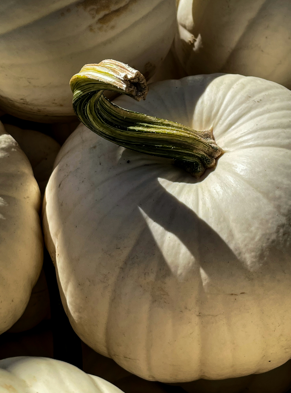 White Pumpkin 100 ml Refreshing Room Spray