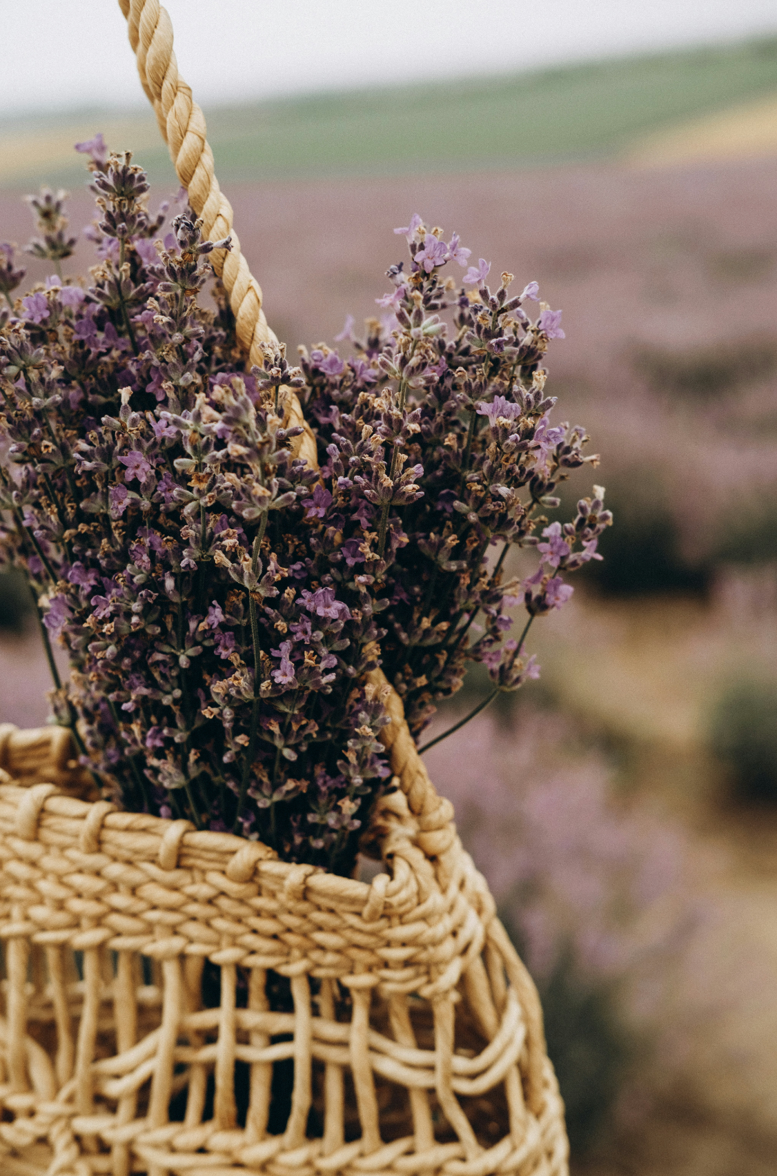 Cedar & Lavender 110 ml Aromatic Reed Diffuser