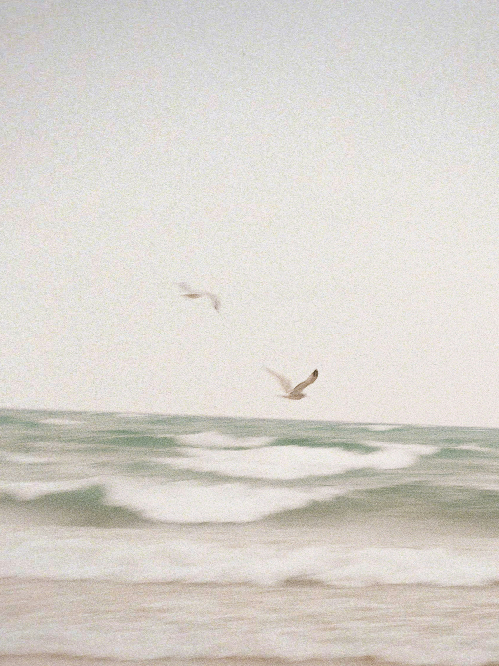 Clean Waves 12 oz scented candle Premium