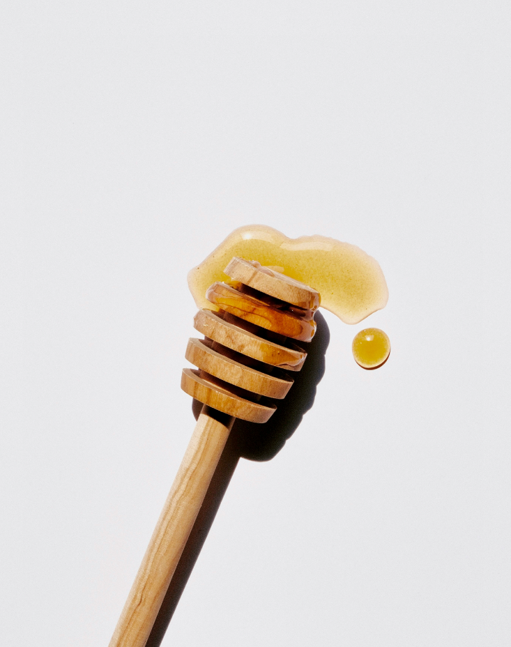 Sweet Honey 10 oz scented candle Premium