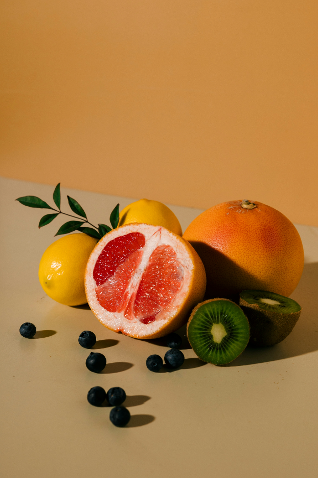 Sand + Paws Tropical Citrus 12 oz scented candle Premium