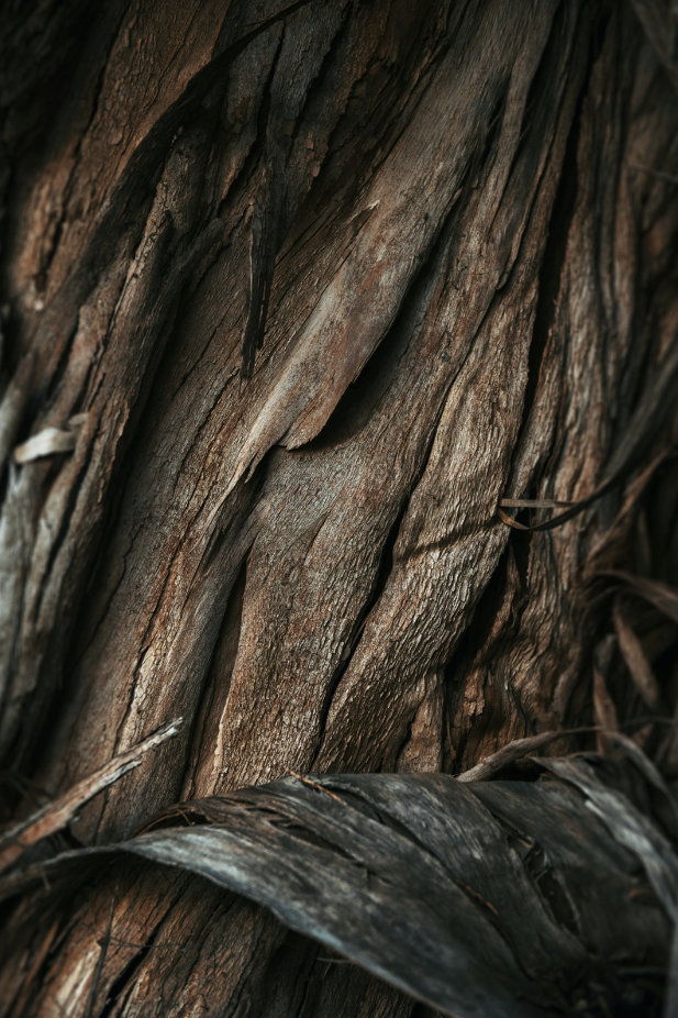 Vanilla Sandalwood 32 oz Versatile 2-In-1