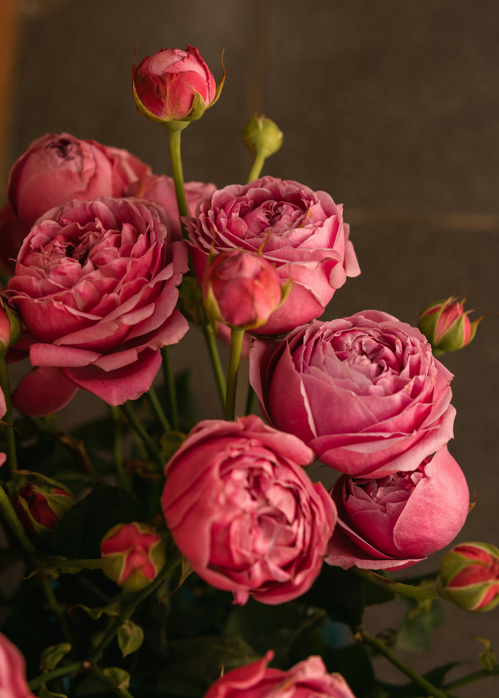 Rose & Peony 50 ml Luxurious Perfume Oil Dropper