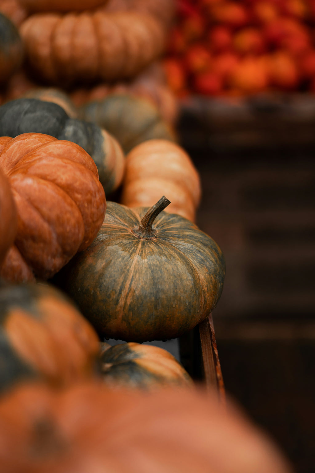 Cinnamon Pumpkin 12 oz scented candle Premium