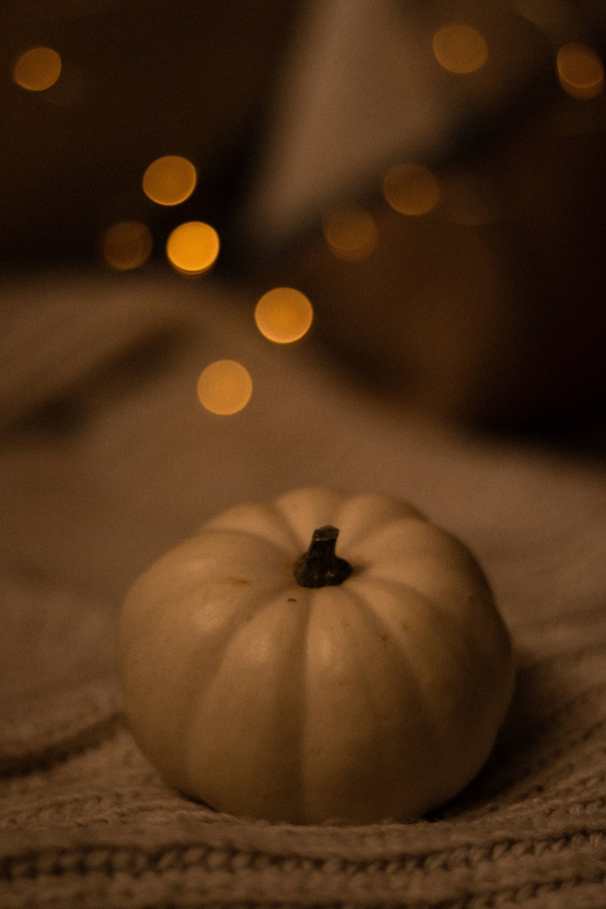 Sand + Paws Pumpkin & Vanilla 12 oz scented candle Premium